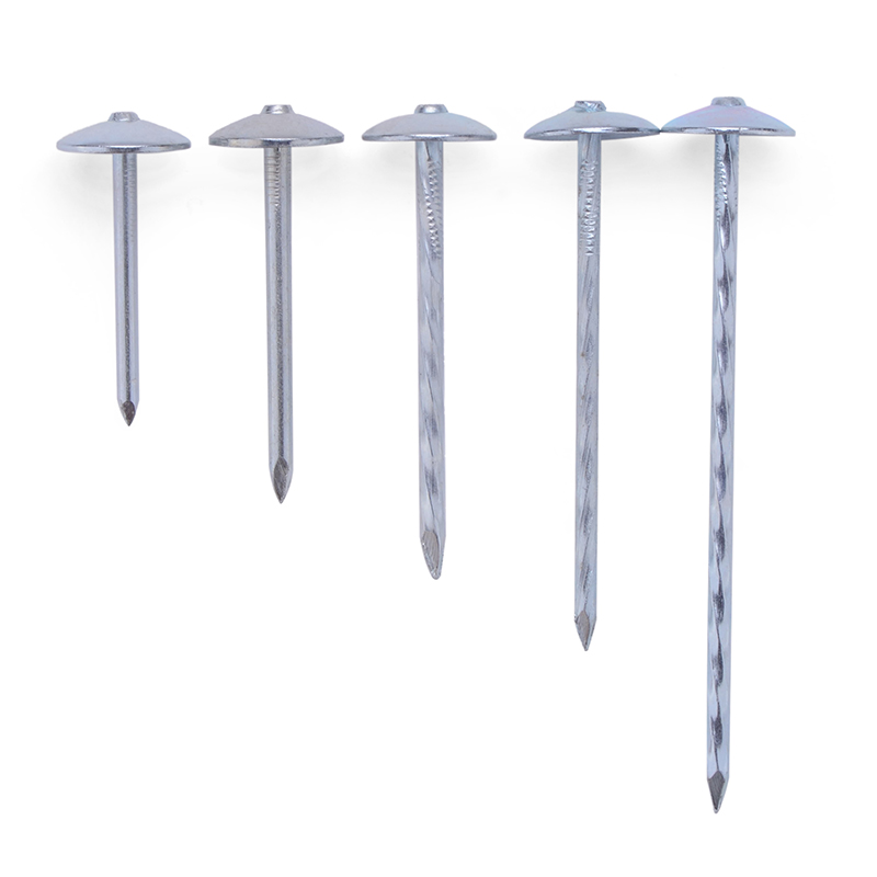 Umbrella Head Roofing Nails